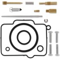 CARB REPAIR KIT