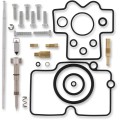 CARB REPAIR KIT