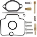 CARB REPAIR KIT