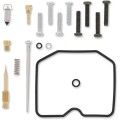 CARB REPAIR KIT
