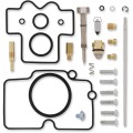 CARB REPAIR KIT