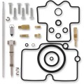 CARB REPAIR KIT
