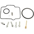CARB REPAIR KIT