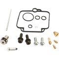 CARB REPAIR KIT