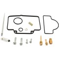 CARB REPAIR KIT