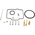 CARB REPAIR KIT
