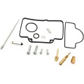 CARB REPAIR KIT