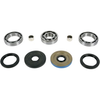 DIFFERENTIAL BEARING AND SEAL KIT