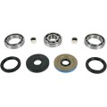 DIFFERENTIAL BEARING AND SEAL KIT