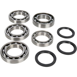 DIFFERENTIAL BEARING AND SEAL KIT