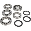 DIFFERENTIAL BEARING AND SEAL KIT