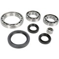 DIFFERENTIAL BEARING AND SEAL KIT