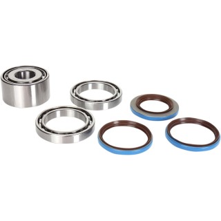 DIFFERENTIAL BEARING AND SEAL KIT