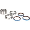 DIFFERENTIAL BEARING AND SEAL KIT