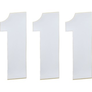 RACE NUMBER WHITE 6" 1