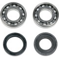 CRANK SHAFT BEARING/SEAL KIT YAMAHA