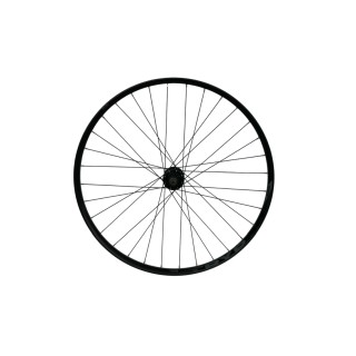 Ratas galinis 29" Tryp 30 EVO QR 6-Bolt FH