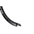Ratlankis 29" Tryp 30 EVO