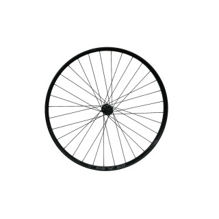 Ratas galinis 29" Tryp 30 EVO QR Center Lock FH