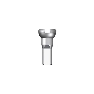 Stipinų galvutė 14G Polyax Brass Silver