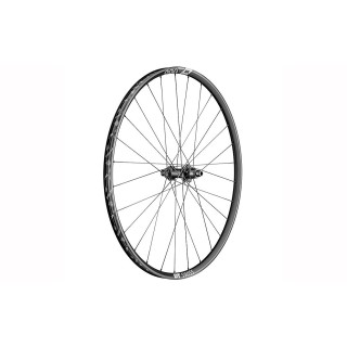 Ratas galinis 29" XR1700 Spline