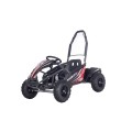Electric Gokart Vehicle MIGHTY Black