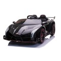 Vehicle Lamborghini Veneno Black