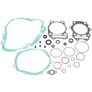 MTR GASKET/SEAL-DR350 90-99