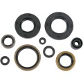 OIL-SEALSKX250 88-89