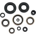 OIL-SEALSKX250 93-03