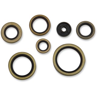 SEAL OIL SET KTM