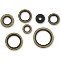 SEAL OIL SET KTM