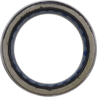 PRIMARY CLTCH BEARING POL