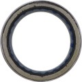 PRIMARY CLTCH BEARING POL