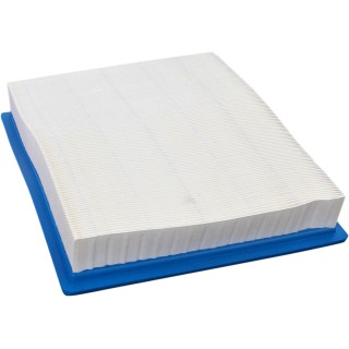 AIR FILTER FILTER RZR900