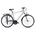 Dviratis Romet Wagant 1 2025 silver-blue-21" / L