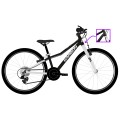 Dviratis Karbon Superlight 24 black