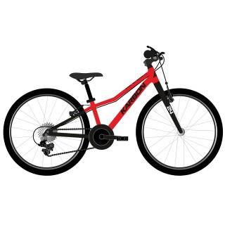Dviratis Karbon Superlight 24 red