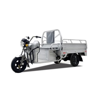 Elektrinis krovininis triratis motoroleris SL-06 (Išparduota, papildymas 06.05)