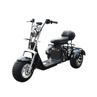 Elektrinis triratis motoroleris - čioperis Citycoco EB-05 PLUS