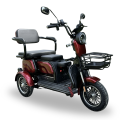 Elektrinis triratis motoroleris SL-04