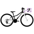 Dviratis Karbon Superlight 20 black