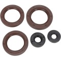 OIL SEAL SET MSE CAN AM