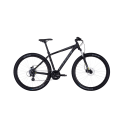 Dviratis 29 Bulls Wildtail 2 Disc vyr. 24g juodas matinis - m