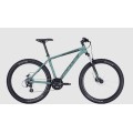 Dviratis 29 Bulls Wildtail 2 Disc vyr. 24g žalias - m