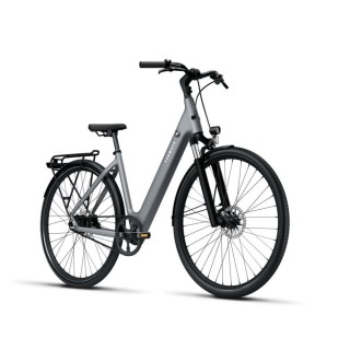 Dviratis 28" elektrinis Tenways CGO800S 374Wh unisex pilkas matinis 48cm one size
