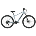 Dviratis 29 LETS MTB grey reid - l