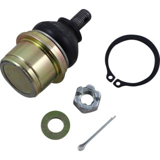BALL JOINT UPPER CF MOTO