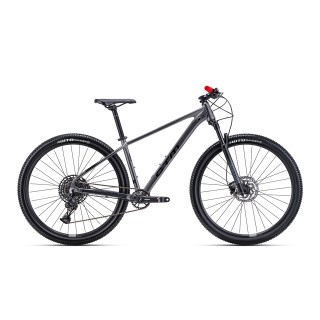 Dviratis Rambler 4.0 29"