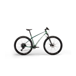 Dviratis Revo Bow 29"